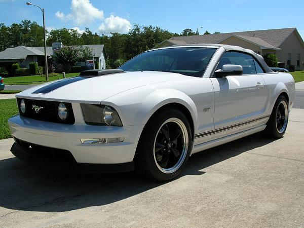 Ponies on The Run!-dscn3670.jpg