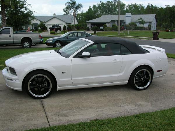 Ponies on The Run!-dscn3012.jpg