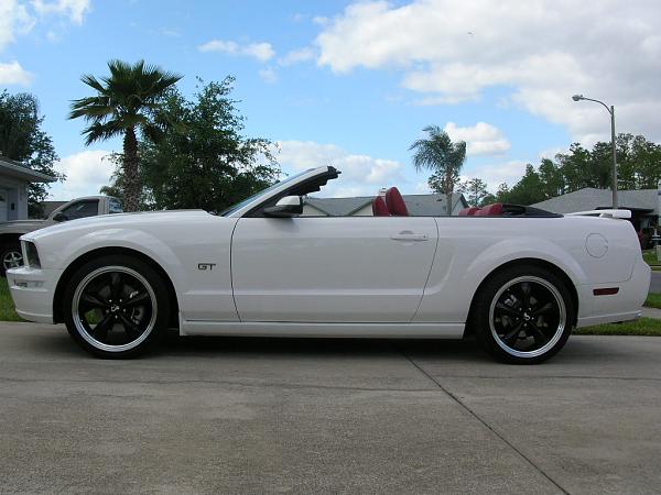 Ponies on The Run!-dscn3015.jpg