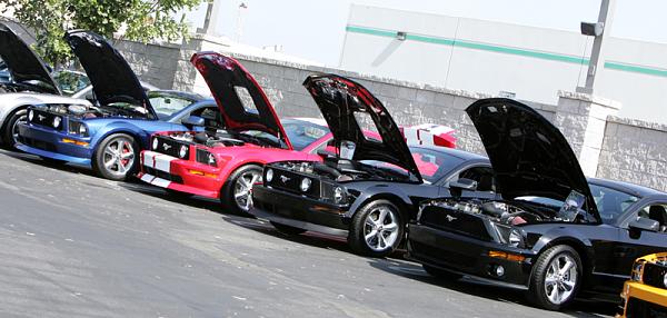 Ponies on The Run!-show2.jpg