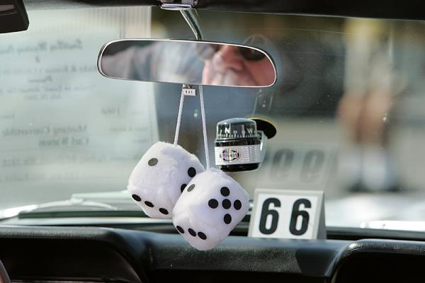 Ponies on The Run!-show3.jpg