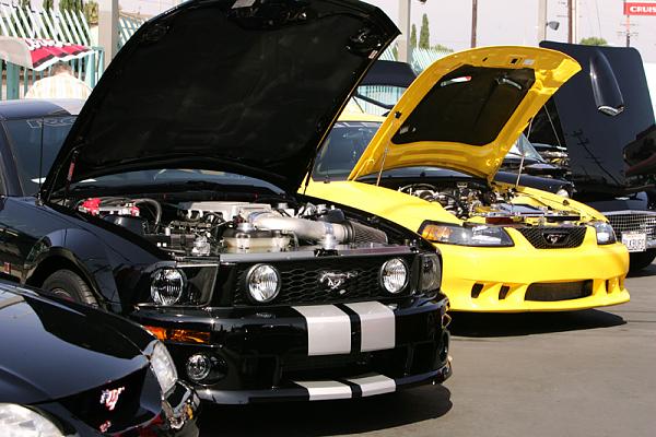 Ponies on The Run!-show10.jpg