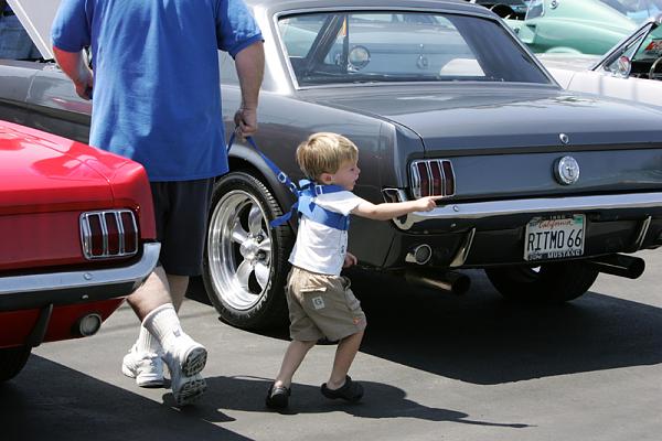 Ponies on The Run!-show14.jpg