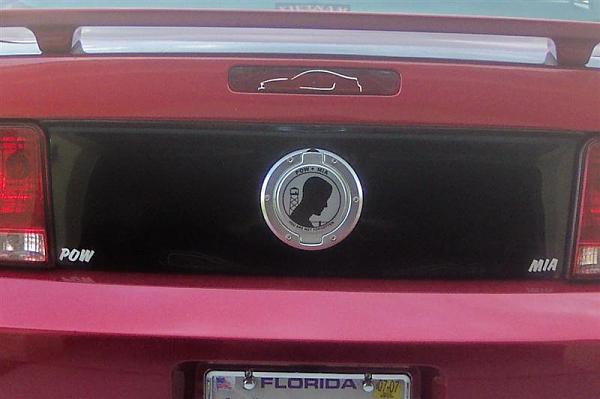 Ponies on The Run!-000_0013-medium-.jpg