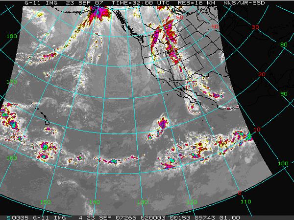 Ponies on The Run!-sundayqm2.jpg