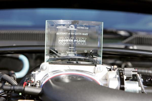 Ponies on The Run!-1.jpg