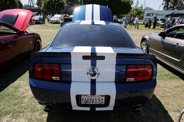 Ponies on The Run!-6.jpg