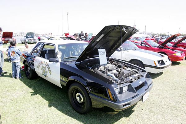 Ponies on The Run!-8.jpg