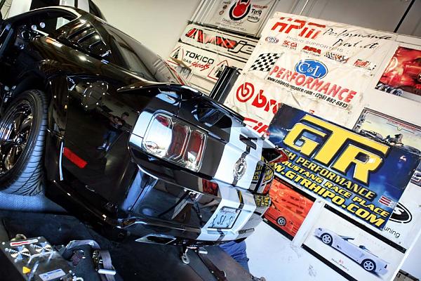 Ponies on The Run!-img_2085.jpg