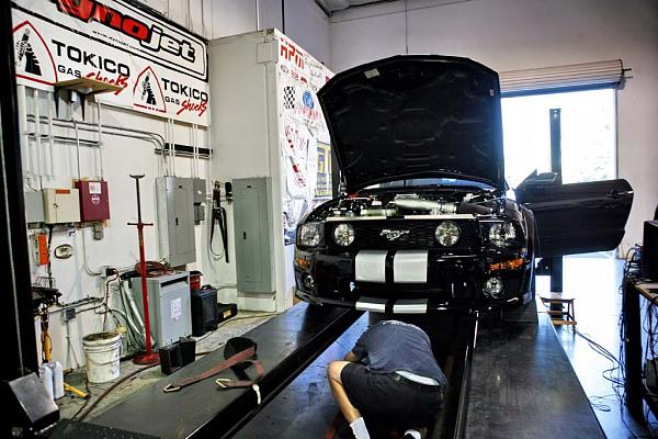 Ponies on The Run!-img_2084.jpg