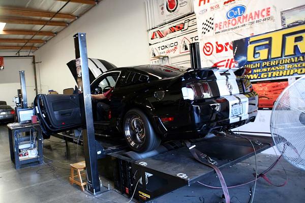 Ponies on The Run!-img_2090.jpg