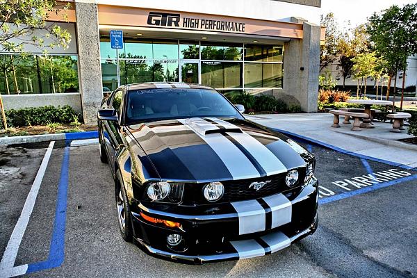 Ponies on The Run!-img_2063.jpg