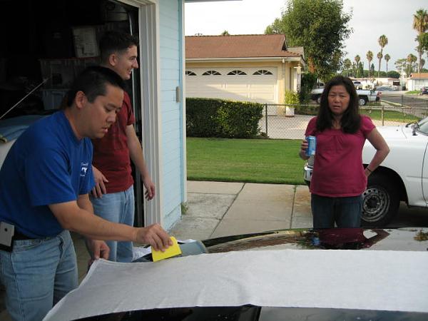 Ponies on The Run!-img_6493r.jpg