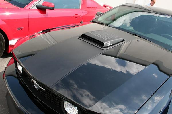 Ponies on The Run!-img_2543.jpg