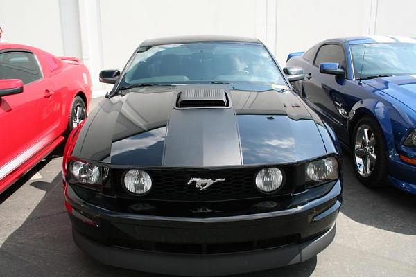 Ponies on The Run!-img_2542.jpg