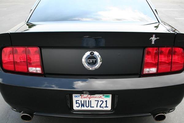 Ponies on The Run!-img_2565.jpg