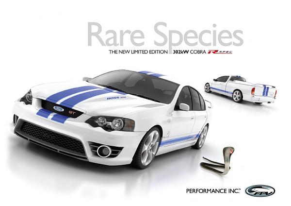 Ponies on The Run!-cobraflyer1copy.jpg