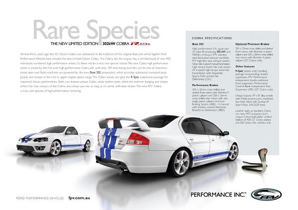 Ponies on The Run!-cobraflyer2copy.jpg