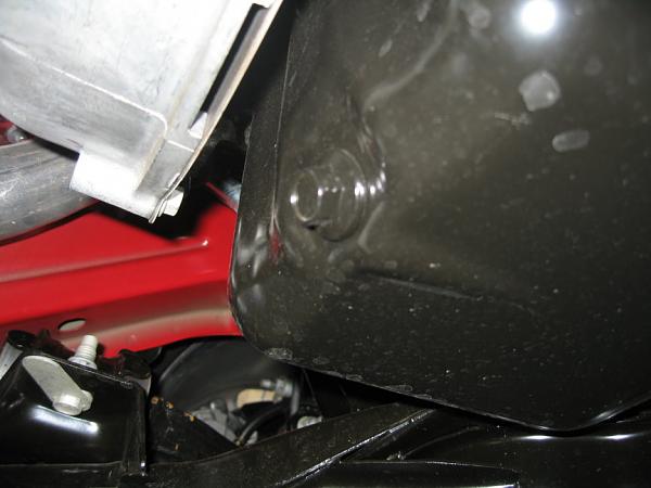 Ponies on The Run!-img_1237.jpg