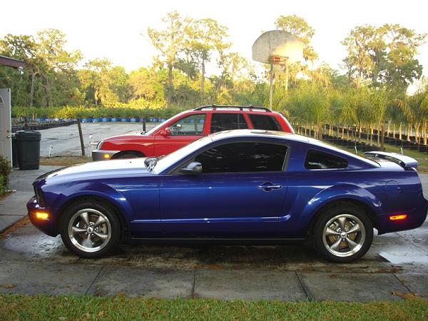 Ponies on The Run!-l12.jpg