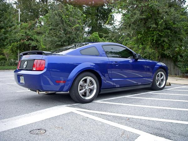 Ponies on The Run!-l2.jpg