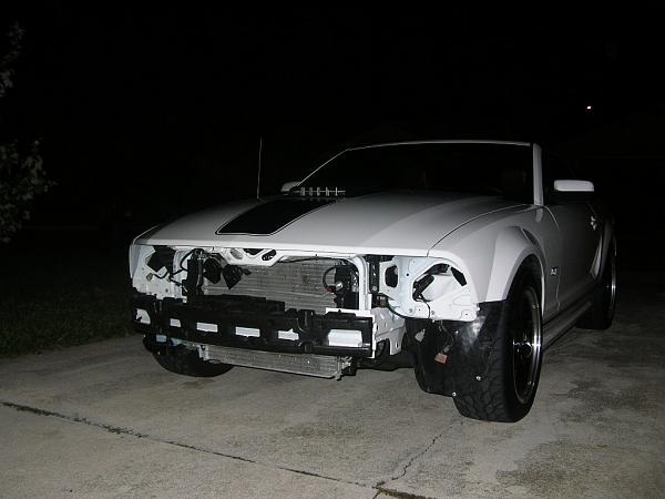 Ponies on The Run!-dscn6578.jpg