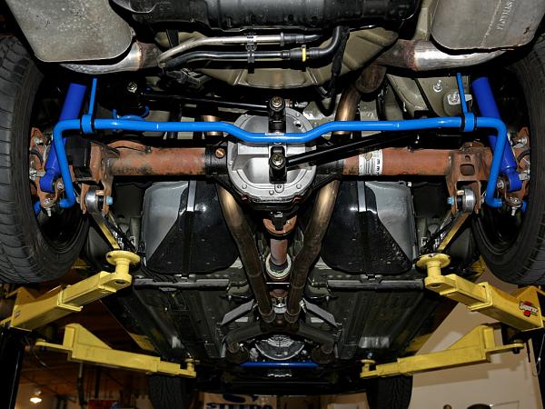 Ponies on The Run!-img_6348wl.jpg