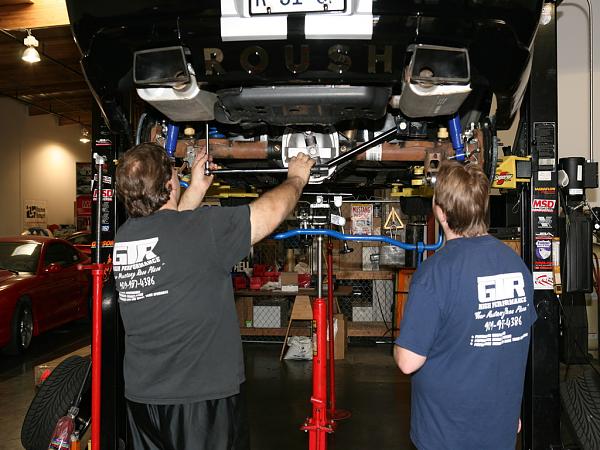 Ponies on The Run!-img_6332wl.jpg