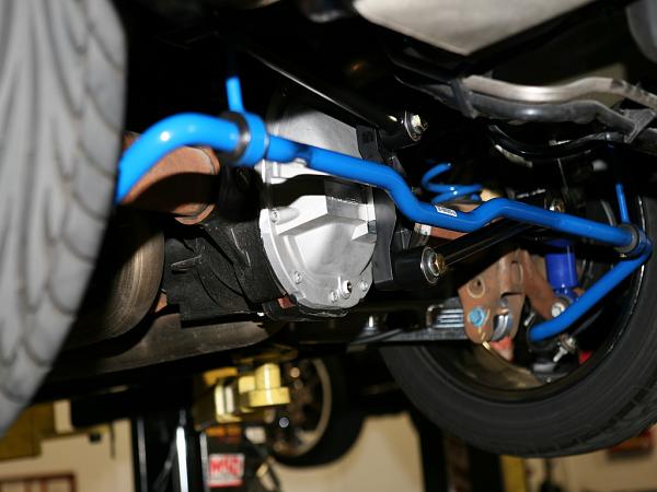 Ponies on The Run!-img_6345wl.jpg