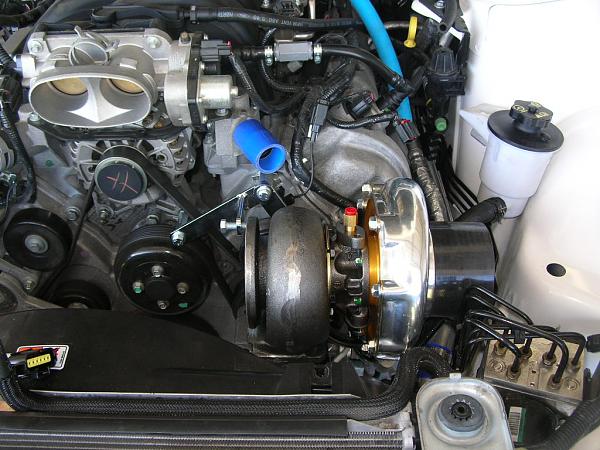 Ponies on The Run!-dscn6662.jpg