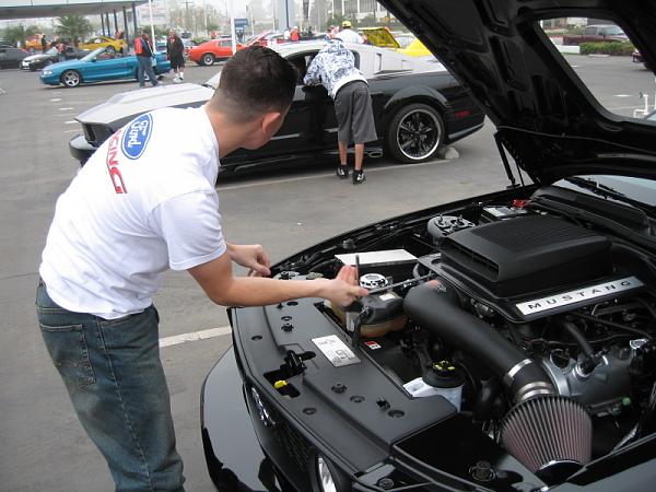 Ponies on The Run!-gay-leo.jpg