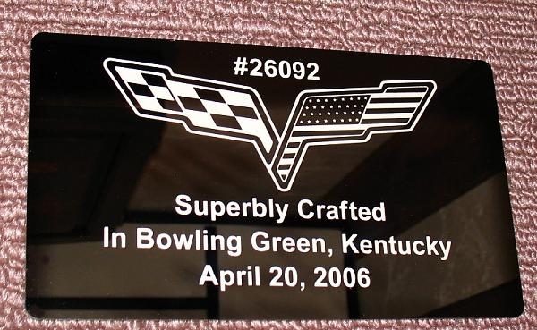 Ponies on The Run!-img_1426.jpg