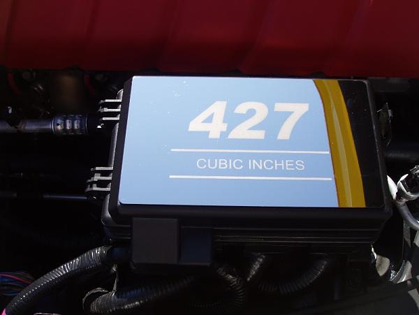 Ponies on The Run!-aqws.jpg