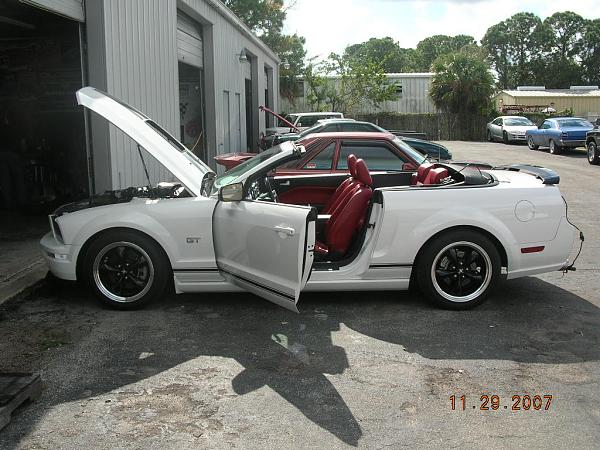 Ponies on The Run!-dscn6833.jpg