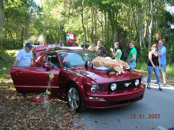 Ponies on The Run!-dscn6872.jpg