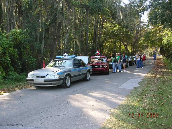 Ponies on The Run!-dscn6874.jpg