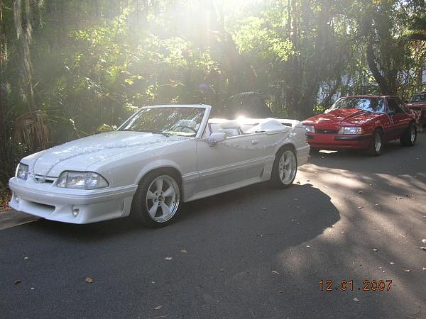 Ponies on The Run!-dscn6883.jpg