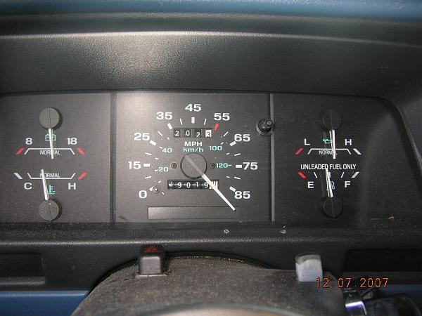 Ponies on The Run!-dscn6917.jpg