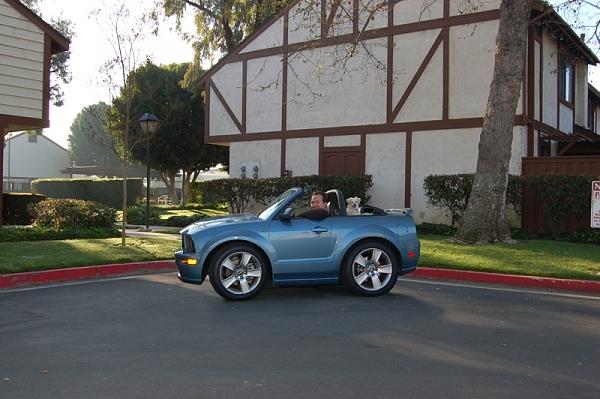 Ponies on The Run!-ministang-5b1-5d-1-.jpg