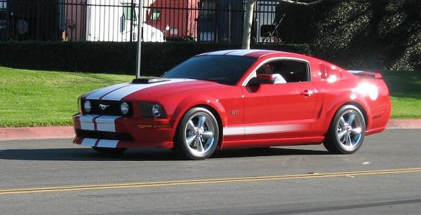 Ponies on The Run!-brian1.jpg