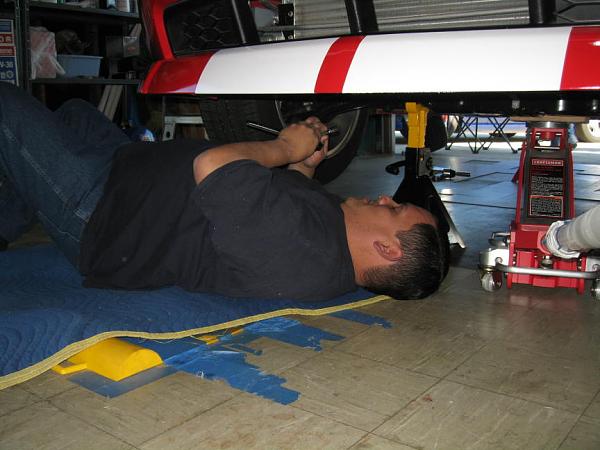 Ponies on The Run!-george.jpg