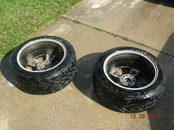 Ponies on The Run!-dscn7080.jpg