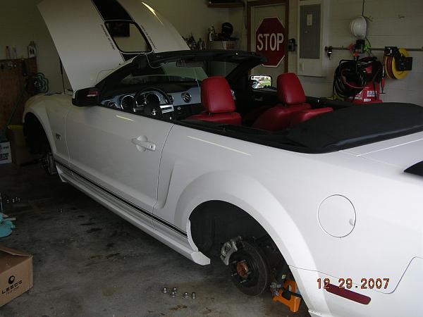 Ponies on The Run!-dscn7083.jpg