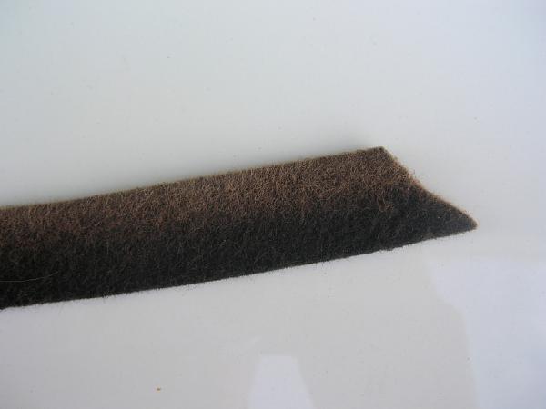 Ponies on The Run!-dscn7141.jpg