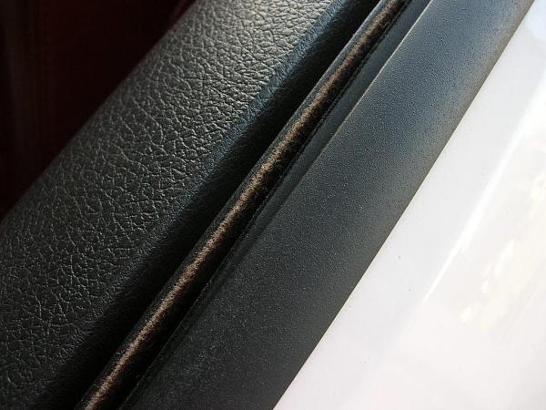 Ponies on The Run!-dscn7144.jpg