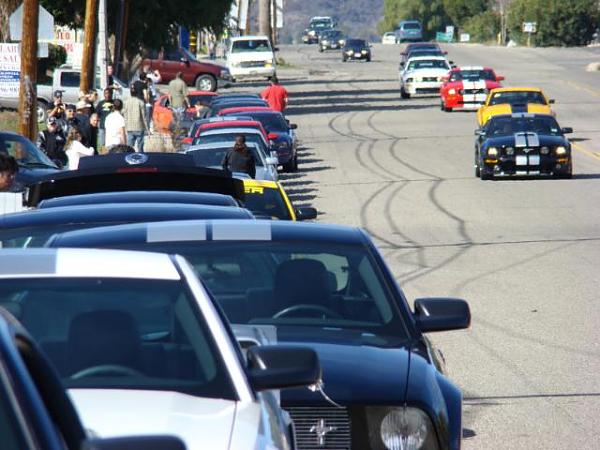 Ponies on The Run!-dsc00693.jpg