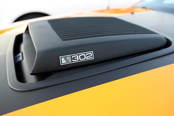 Ponies on The Run!-img_1025.jpg