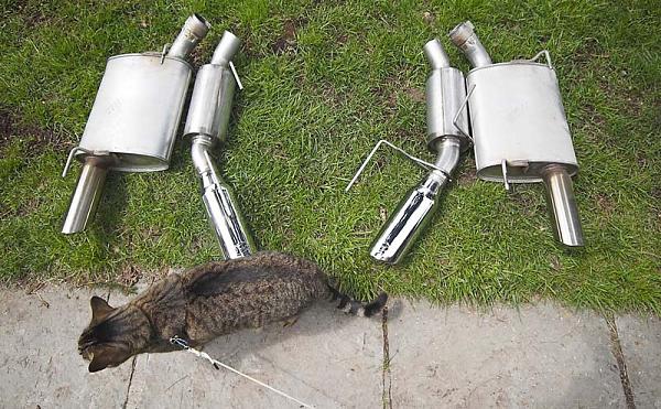 Ponies on The Run!-overaxle_mufflers_vs_real_cat_back.jpg