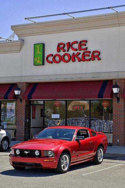 Ponies on The Run!-rice-cooker.jpg
