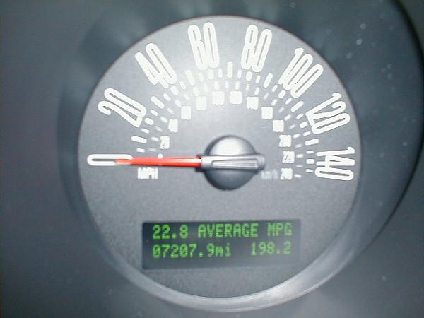 Ponies on The Run!-0204084.jpg